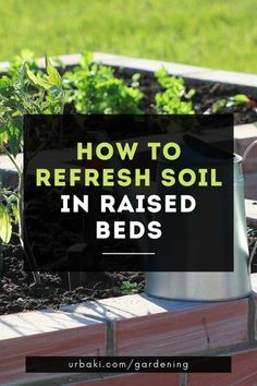 how to refresh soil in raised beds