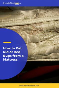 a mattress with the words how to get rid of bed bugs from a mattress