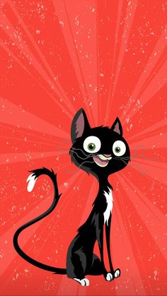 a black and white cat sitting in front of a red background with sunbursts