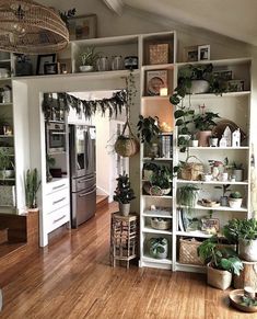 an open kitchen with lots of plants on the shelves