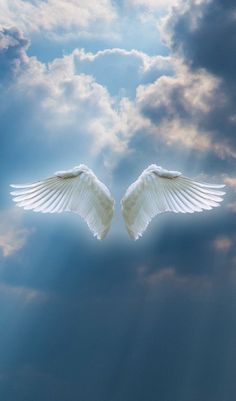 two white doves are flying in the sky