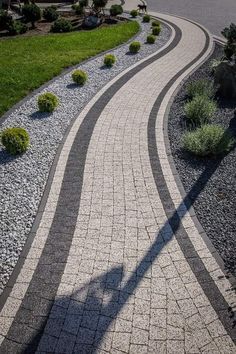 an aerial view of a paved road in the middle of a park with trees and bushes