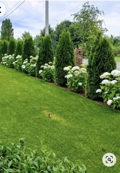 there are many bushes and trees in the yard with white flowers on each side of the fence