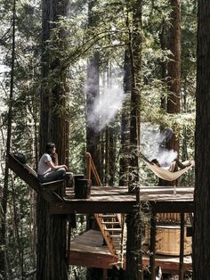 two people sitting on a deck in the middle of a forest with hammocks