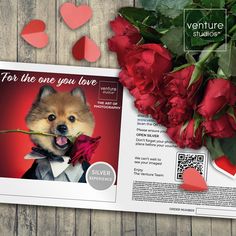 a valentine's day postcard with a dog holding a rose in its mouth