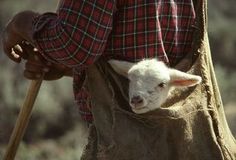 a person holding a stick with a baby sheep in it's pouch on their back