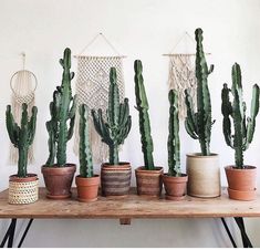 several potted plants on a table with macrame wall hangings in the background