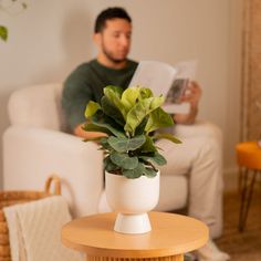 a man sitting on a couch in front of a table with a potted plant