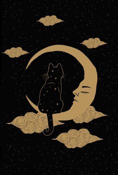 a cat is sitting on the moon with clouds in the night sky behind it's head