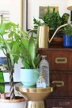 a brass pedestal with a blue bowl and green plants on top in front of a mirror