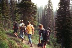 three hikers walking up a trail in the woods with backpacks on their backs