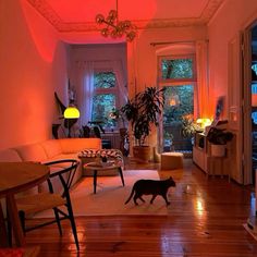 a cat walking across a living room floor