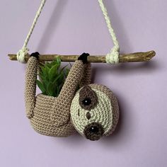 a crocheted sloth hanging from a branch with a succulent in it