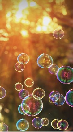 soap bubbles are floating in the air with sunlight shining through them, and there is no image here to provide a caption for