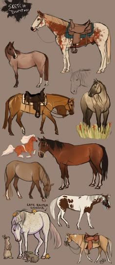 an image of horses that are all different colors and sizes on the same horse's body