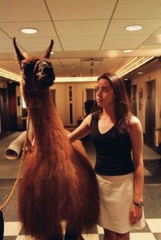 a woman standing next to an llama on a checkered floor