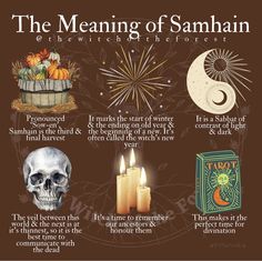 Samhain Traditions, Aries Energy, My 40th Birthday, The Wheel Of The Year, Charmed Book Of Shadows, Nature Witch, Moon Astrology, Traditional Witchcraft, Start Of Winter