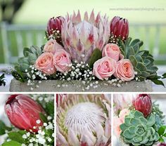 four different pictures of flowers and succulents