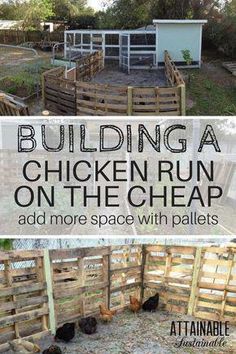 chickens run on the cheap and more space with pallets