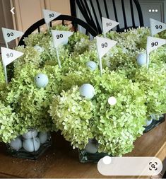 a table topped with vases filled with green plants and golf balls on top of it