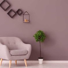 a chair and potted plant in front of a purple wall