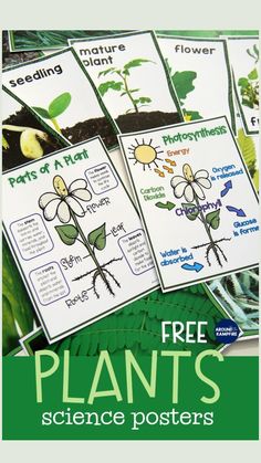 four plant posters with the text free plants science posters