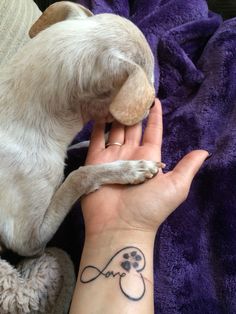 a person holding a dog's hand with a tattoo on it