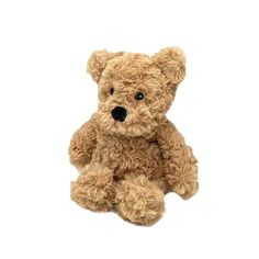 a brown teddy bear sitting up against a white background