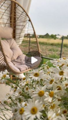 a swing chair and some daisies in the grass