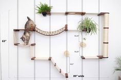 a cat sitting on top of a wooden shelf next to a planter and potted plant