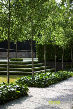 an outdoor garden with trees and benches