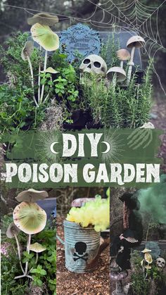 a collage of photos with different plants and mushrooms in them that say diy, poison garden