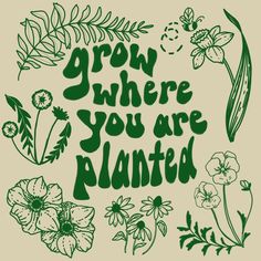 the words grow where you are planted surrounded by flowers