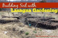 the cover of building soil with lasagna gardening, featuring several trees and hay bales