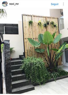 there is a plant on the steps in front of this house that has plants growing out of it