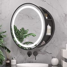 a bathroom sink with a mirror above it next to a potted plant and toiletries