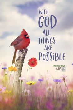 a red bird sitting on top of a wooden post in a field of flowers with the words, with god all things are possible