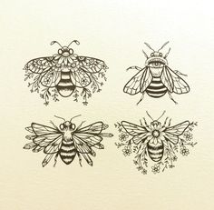 three bees are drawn in ink on paper