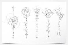 a line drawing of flowers and arrows