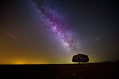 a lone tree is silhouetted against the night sky as the milky shines in the background