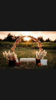 an outdoor ceremony setup with flowers and feathers in buckets on the grass at sunset