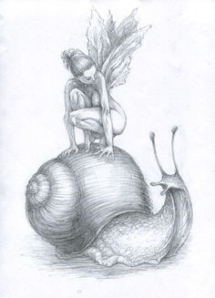 a pencil drawing of a fairy sitting on top of a snail