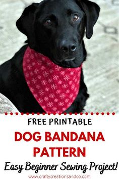 a black dog wearing a bandana with the text free printable dog bandana pattern easy beginner sewing project