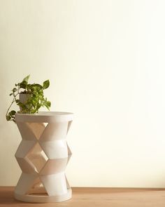 a potted plant sitting on top of a wooden table next to a white wall