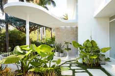 a white house with lots of green plants in the front yard and on the ground