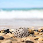 a rock sitting on top of a sandy beach next to the ocean