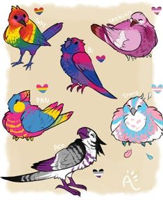 six colorful birds with hearts on the bottom and one bird in the middle, all different colors