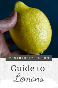 a person holding a lemon in their hand with the words guide to lemons written below