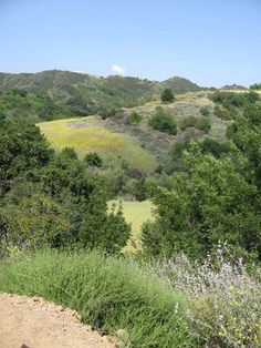 an area with many trees and bushes in the foreground, on top of a hill