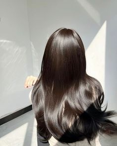 Glossy Hair Aesthetic, Japanese Brown Hair, Silky Hair Aesthetic, Dark Wonyoungism, Long Hair Korean, Straight Silky Hair, Silky Straight Hair, Soft Shiny Hair